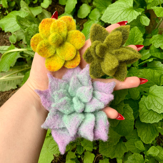 Hand Felted Succulent Brooch!