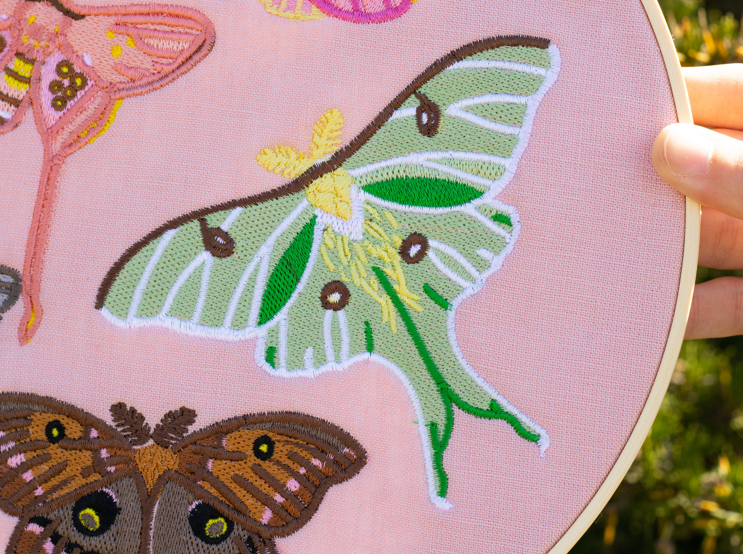 Pastel Moths Wall Hanging!
