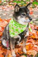 Cute Cotton Bandanas!