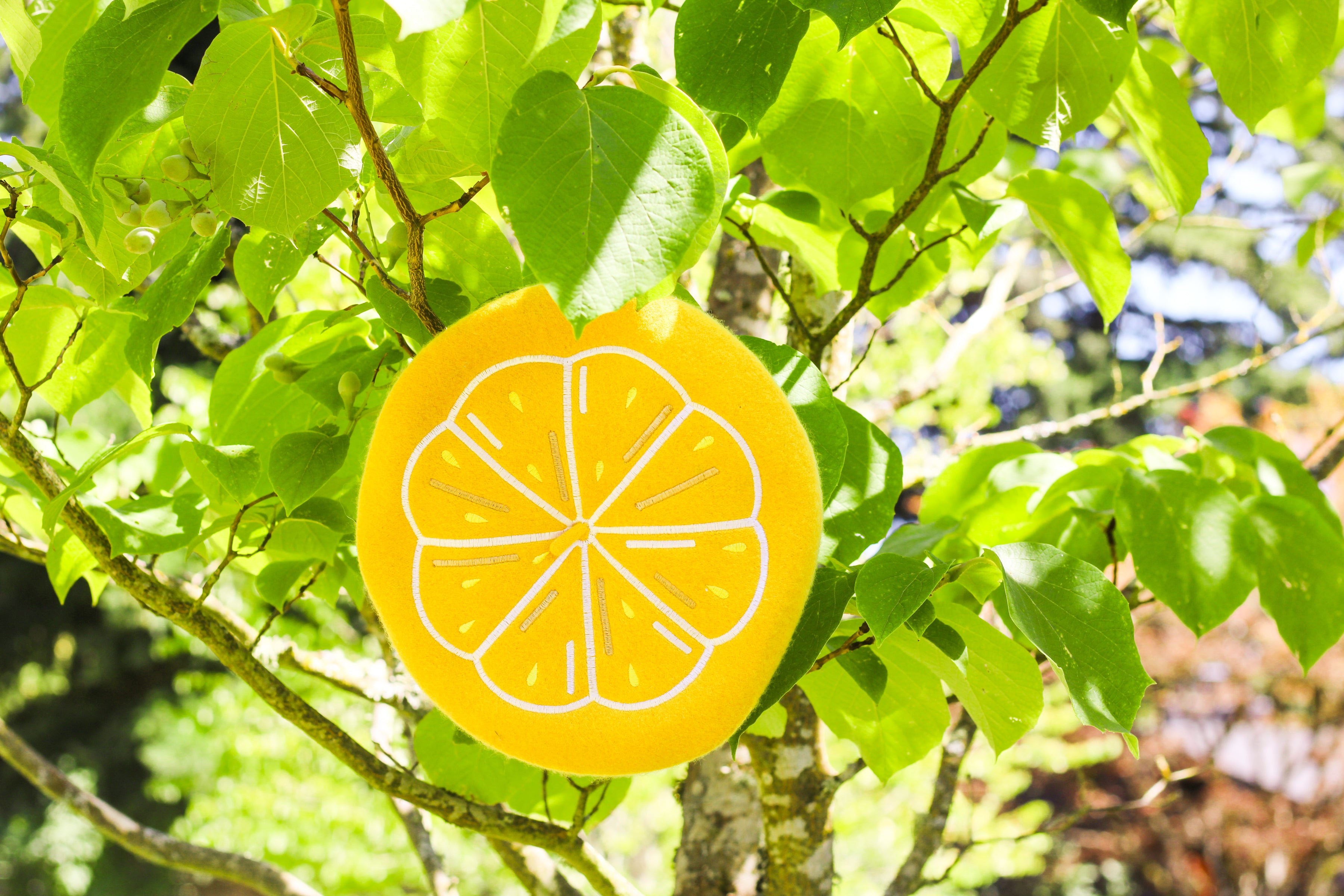 Citrus Slice Embroidered Beret!