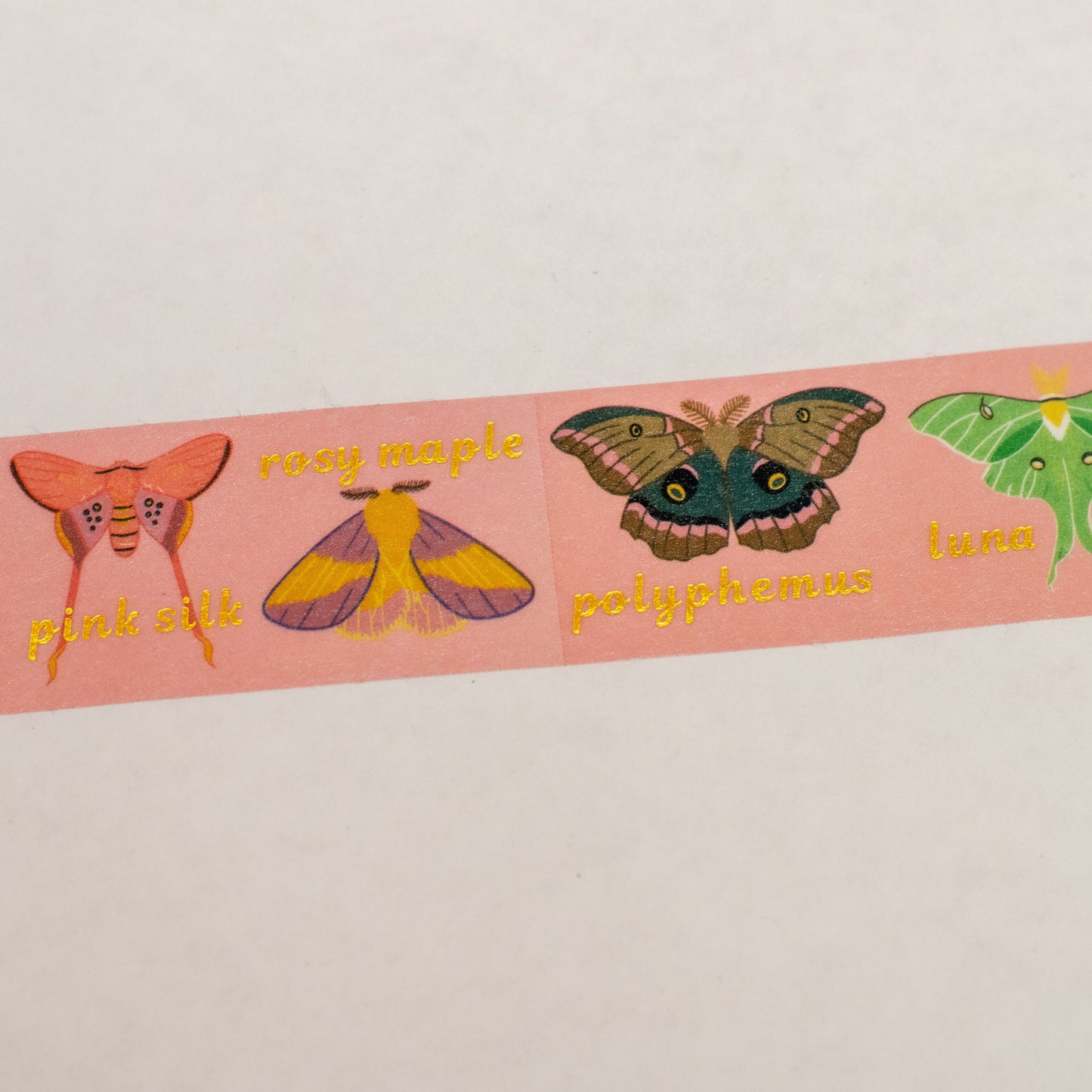 Goth and Pastel Moths Washi Tape!