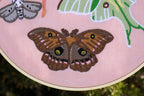 Pastel Moths Wall Hanging!