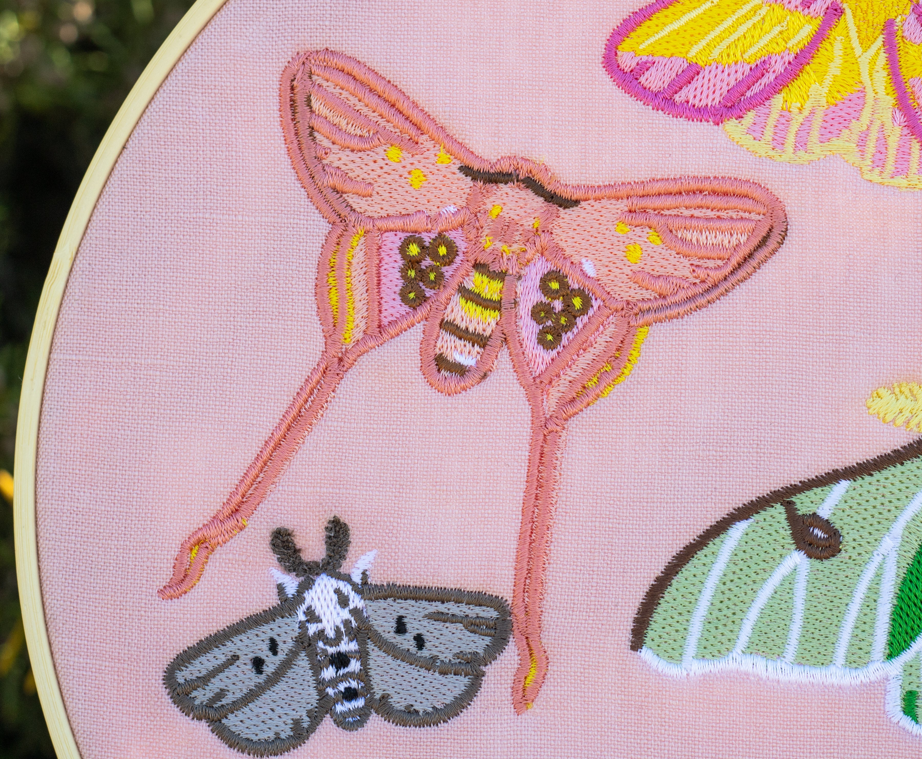 Pastel Moths Wall Hanging!